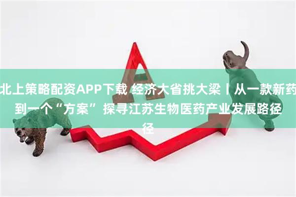 北上策略配资APP下载 经济大省挑大梁丨从一款新药到一个“方案” 探寻江苏生物医药产业发展路径