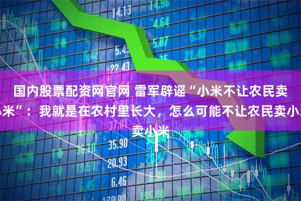 国内股票配资网官网 雷军辟谣“小米不让农民卖小米”：我就是在农村里长大，怎么可能不让农民卖小米