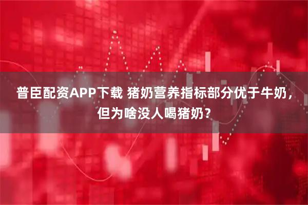 普臣配资APP下载 猪奶营养指标部分优于牛奶，但为啥没人喝猪奶？