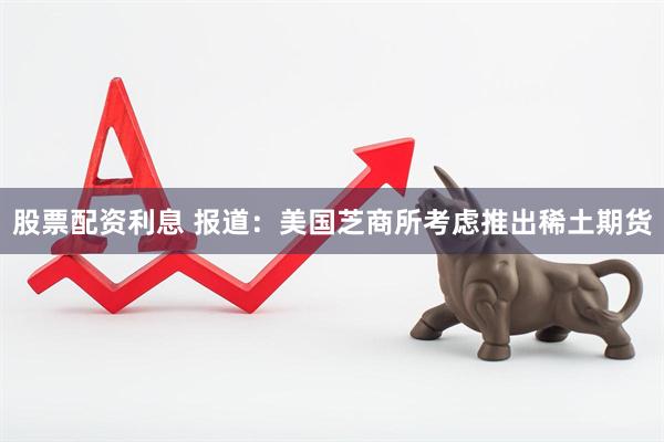 股票配资利息 报道：美国芝商所考虑推出稀土期货